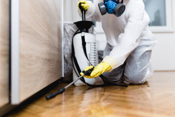 Best Mosquito Control Services  in Val Verde, CA