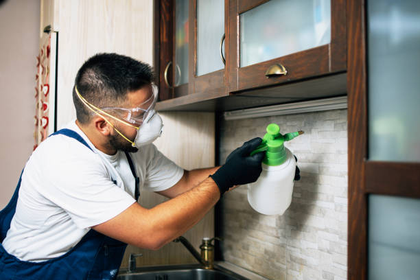 Best Best Pest Control Companies  in Val Verde, CA