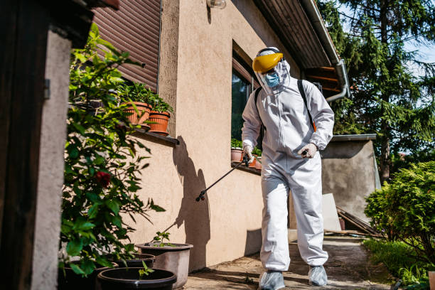 Best Best Pest Control Companies  in Val Verde, CA