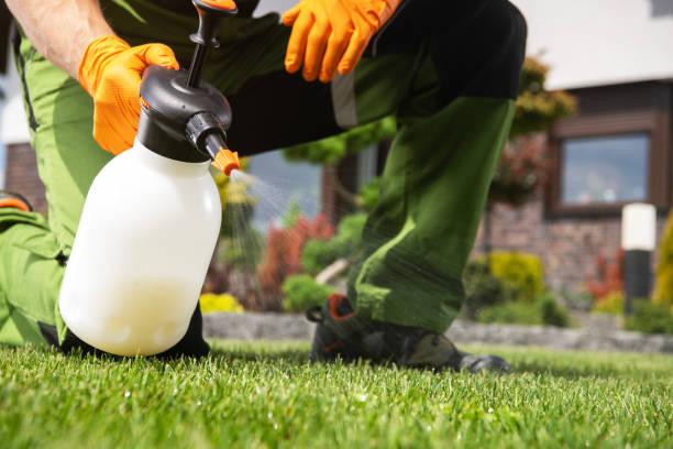 Best Best Pest Control Companies  in Val Verde, CA