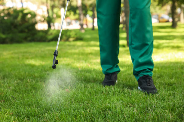 Best Commercial Pest Control Services  in Val Verde, CA