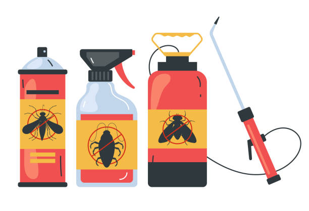 Best Residential Pest Control  in Val Verde, CA