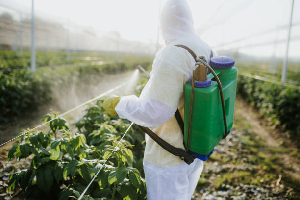 Best Pest Control Treatment  in Val Verde, CA